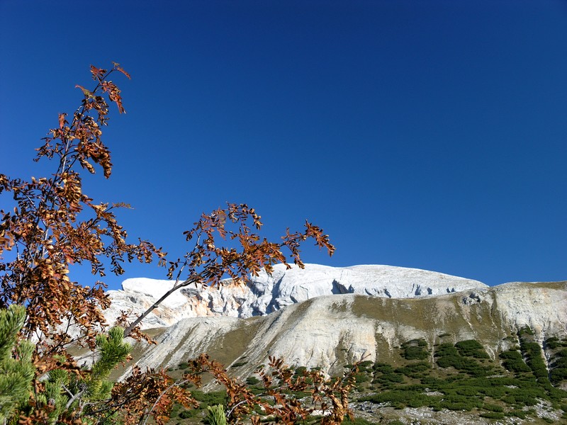 Una carezza