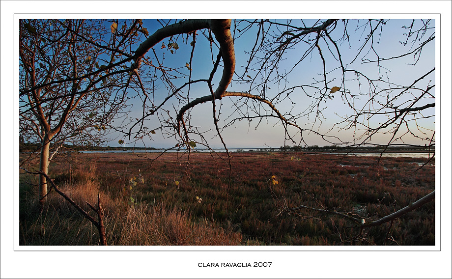 Le loro braccia profili di rami........foglie le mani, spine le dita