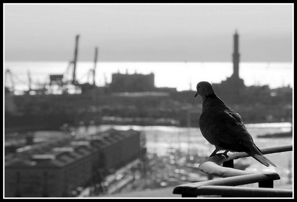 Quell'espressione un po' cosi'...