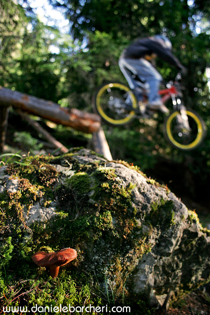 [MTB]Freeride: Mushroom's Drop