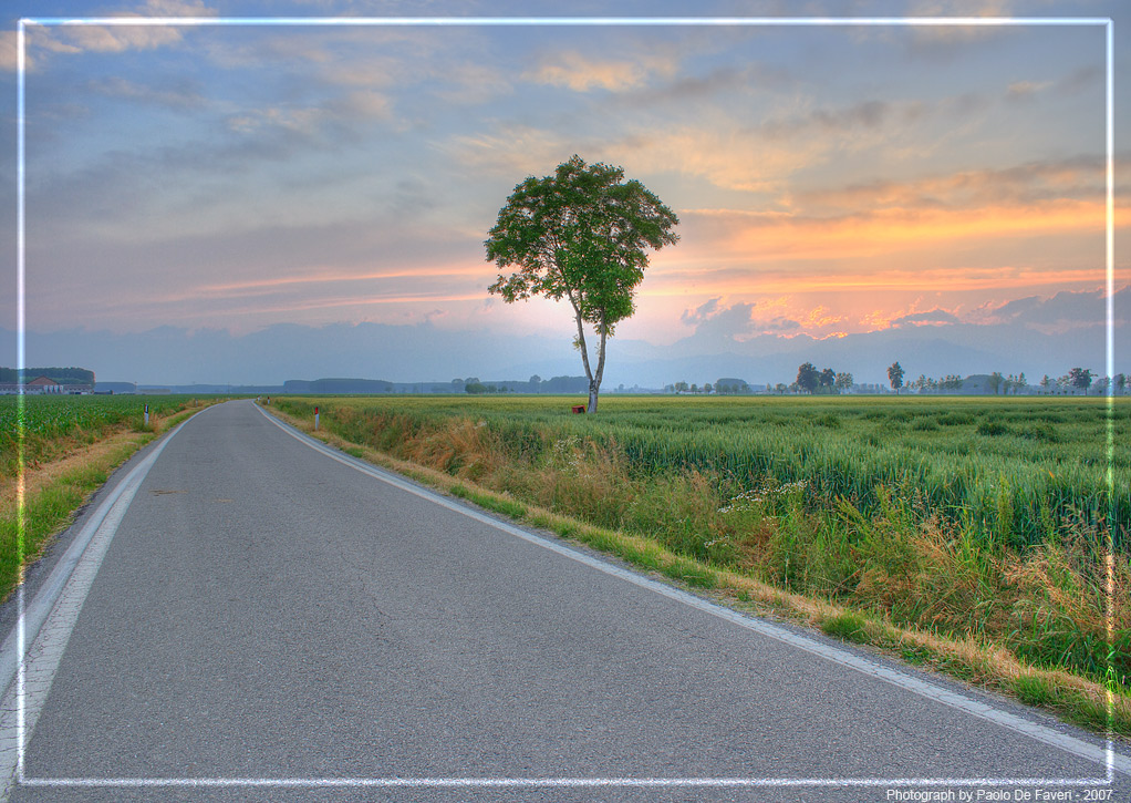 La campagna di Scalenghe, Torino.