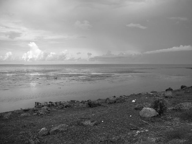 Paesaggio metallizzato