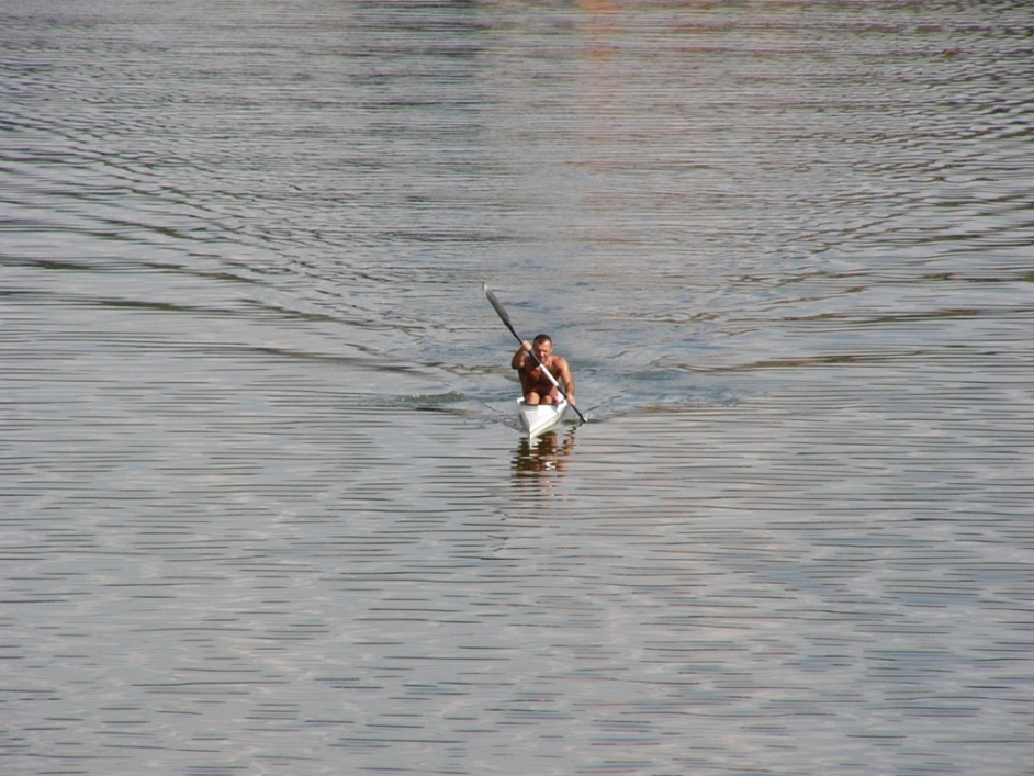 Sil V er (originale solo ridimensionata)