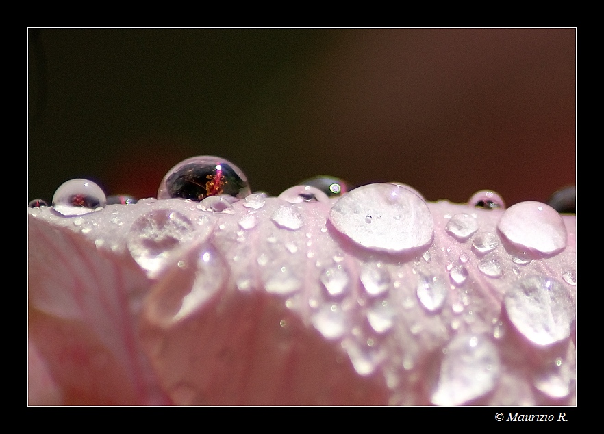 il mondo da un obl�