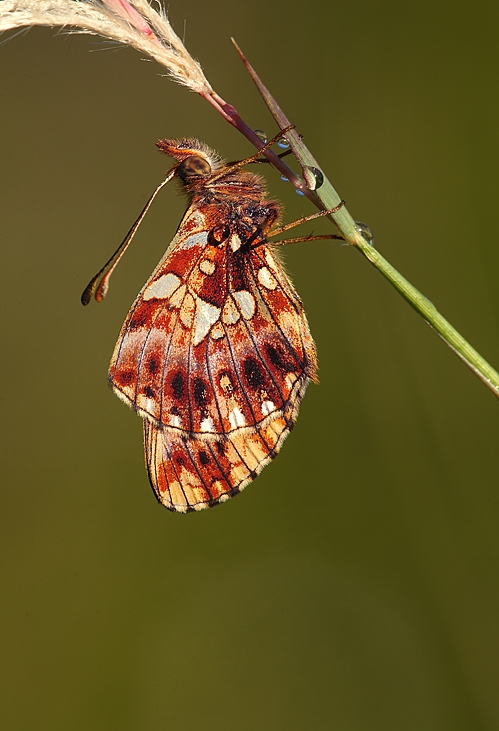 Aspettando il sole....