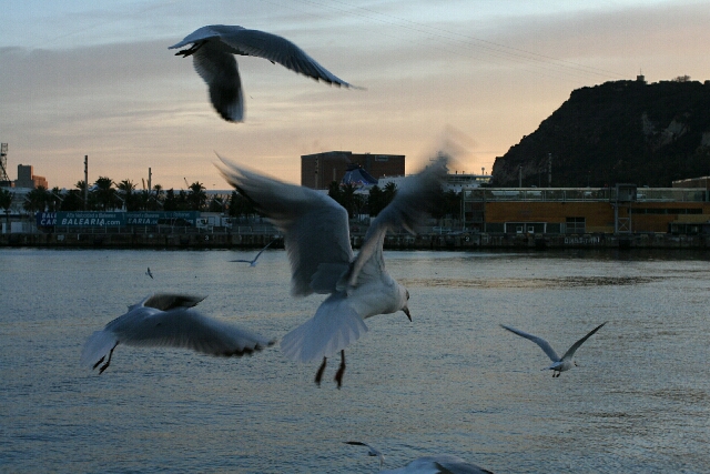 MareMagnum Barcellona