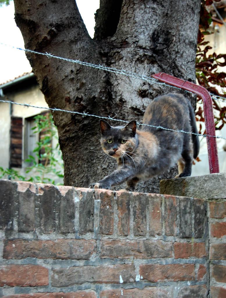 esercitazione militare...