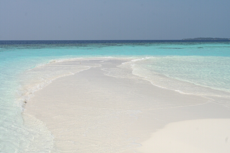 Maldive