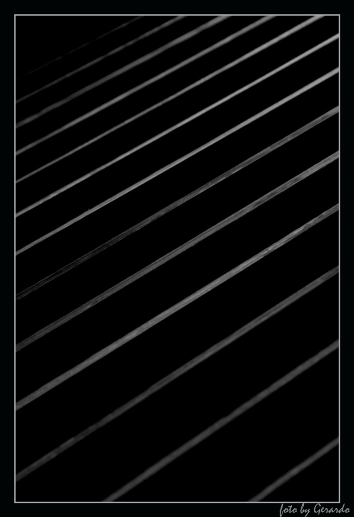 tagli...o tapparella...??