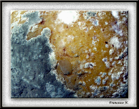 I colori della natura