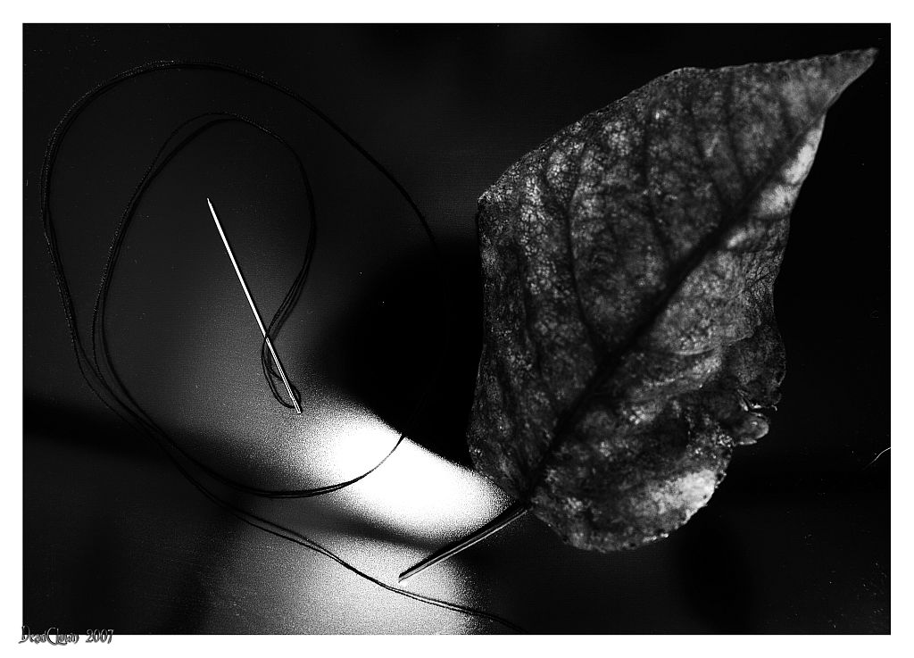 HeartRepairKit For Sally