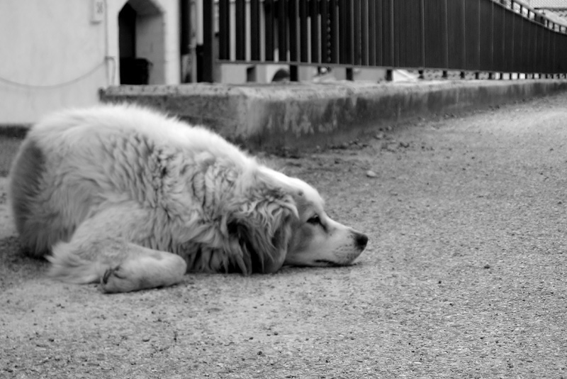 La dolcezza in attesa..