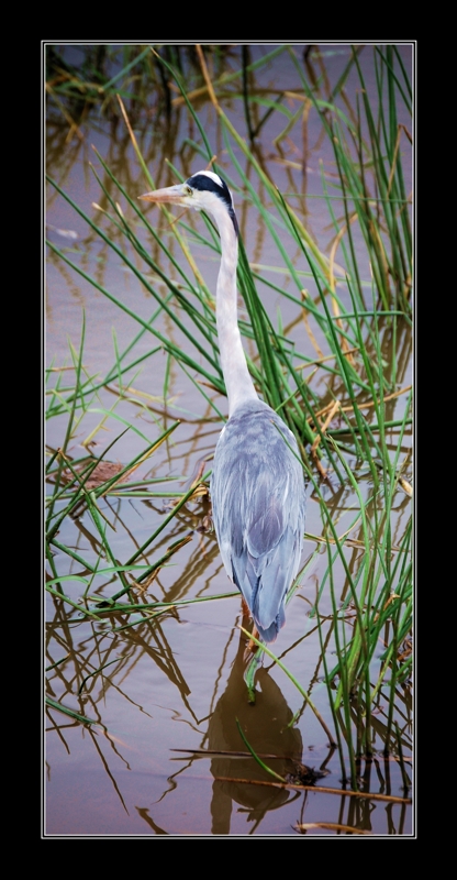 Con circospezione...