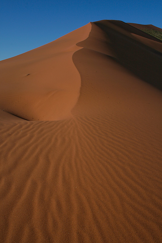 namibia desert