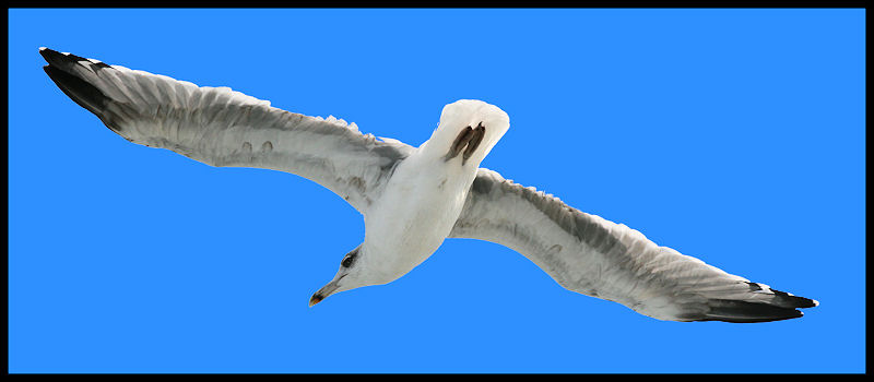 Non starai mica fotografando me �!!