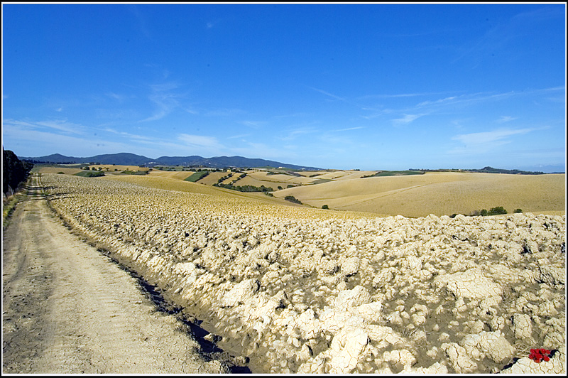 colline
