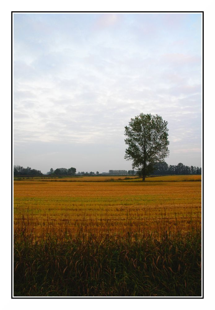 I colori del primo autunno