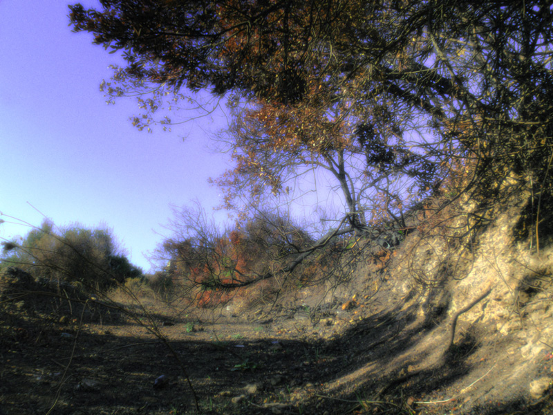 The Place Where I Died