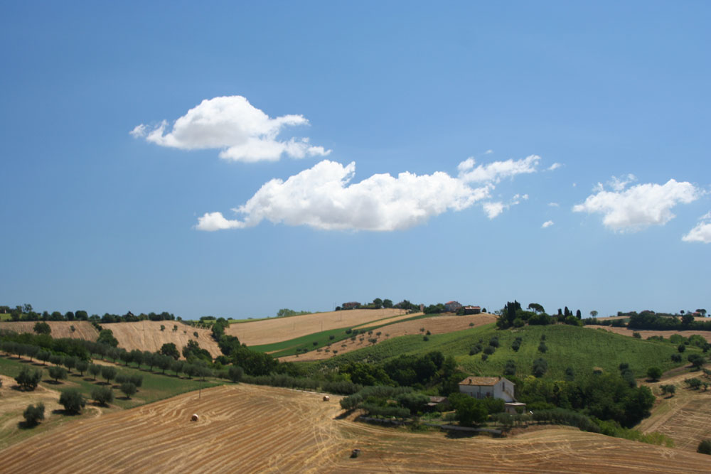 _Cartolina_Marchigiana_