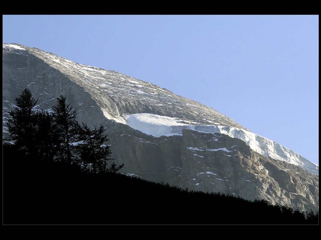 I guardiani del Leone