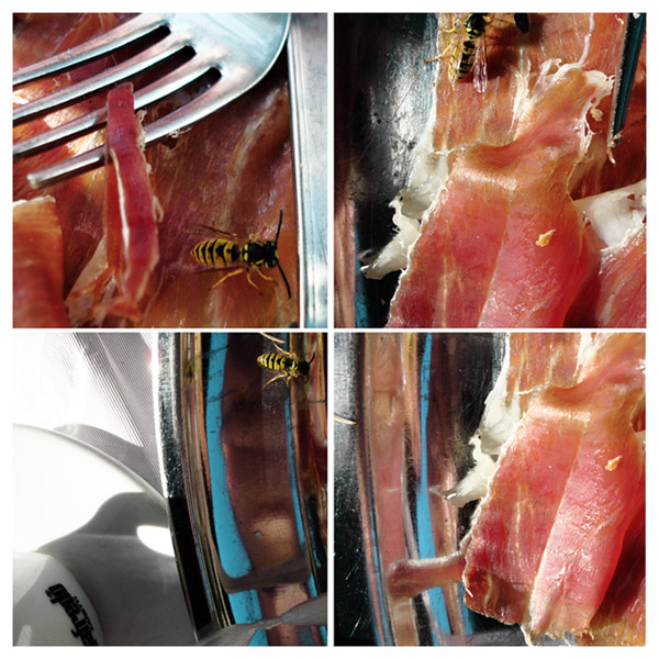 Red (Yellow-Black) Food