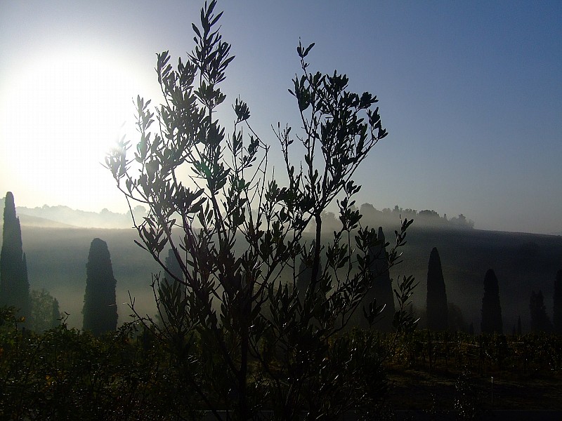 02/09/2007-nebbia-mattina
