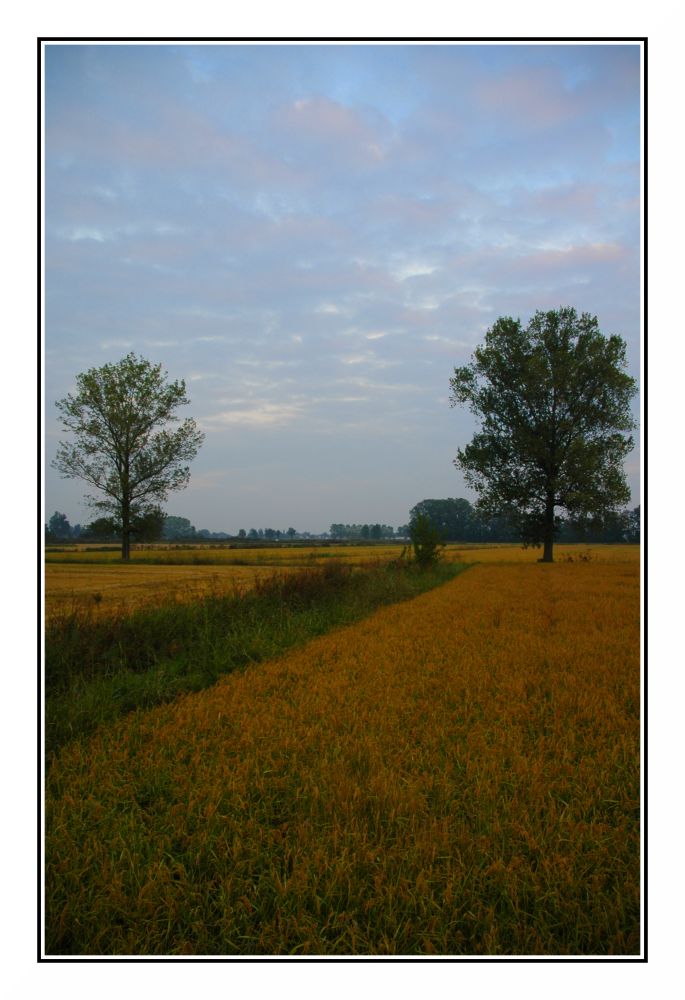 I colori del primo autunno #3