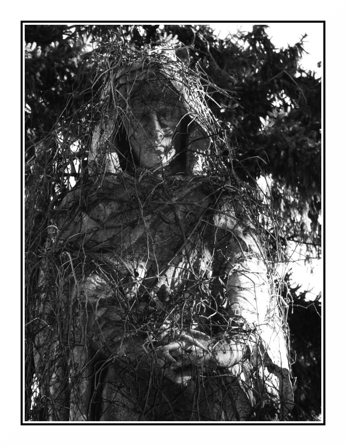 Niente, ma proprio niente,  � per sempre #7