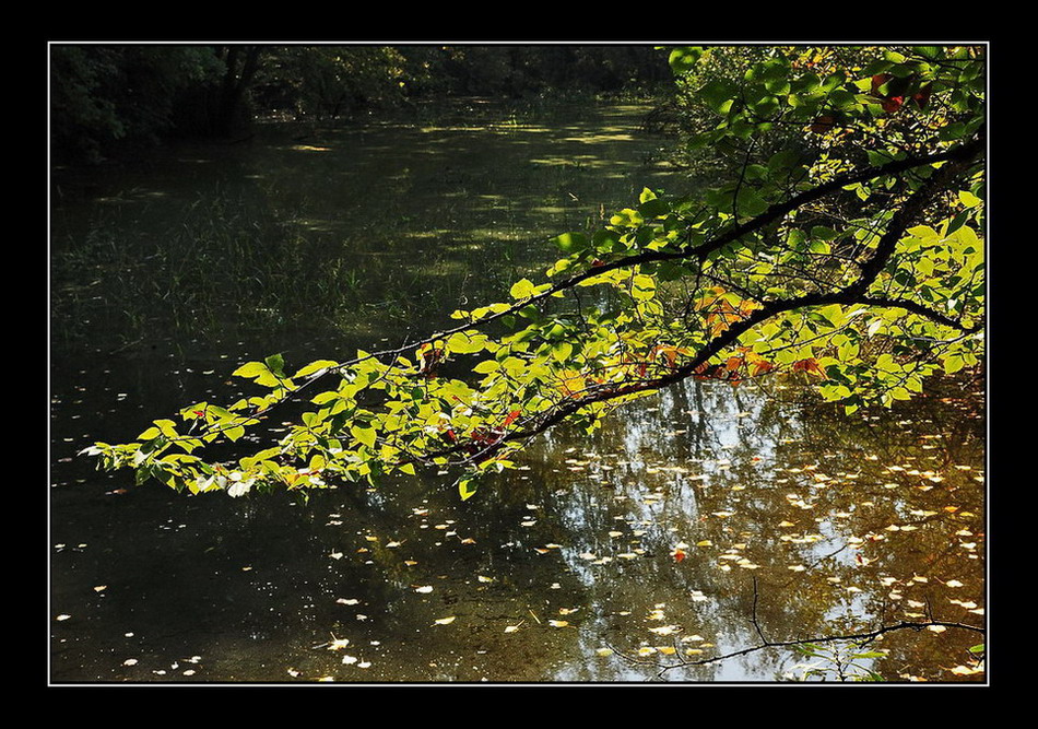 Una luce ...nelle tenebre