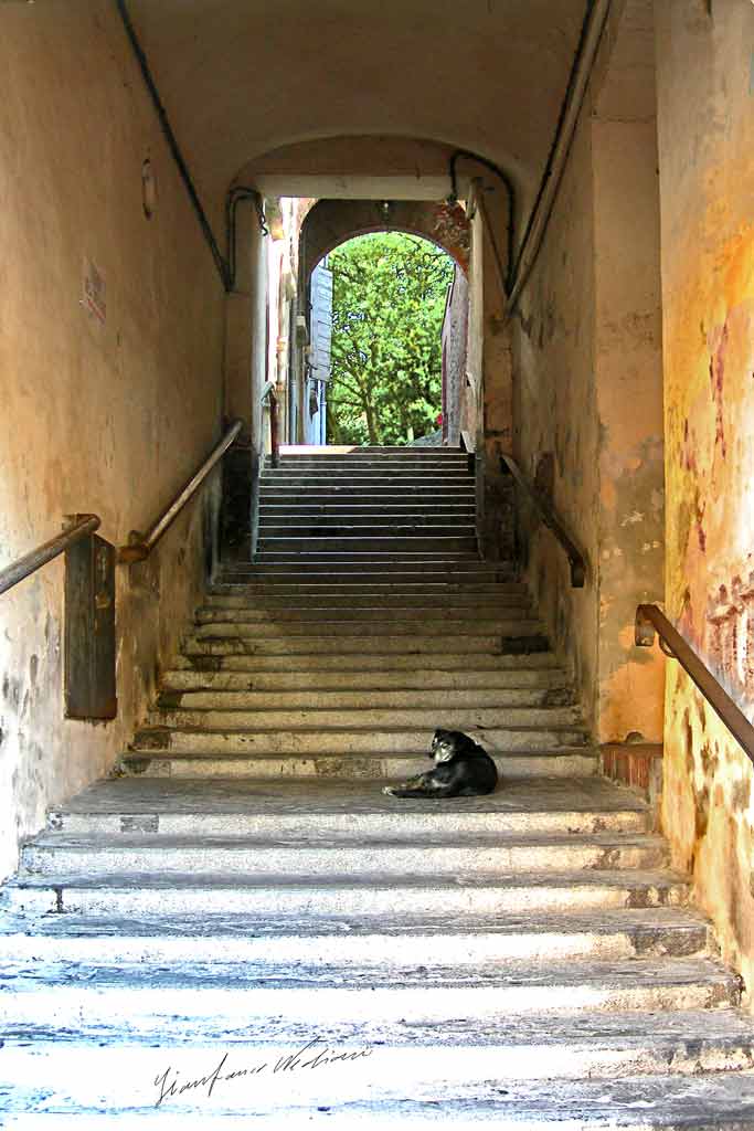 Brisighella - La sentinella