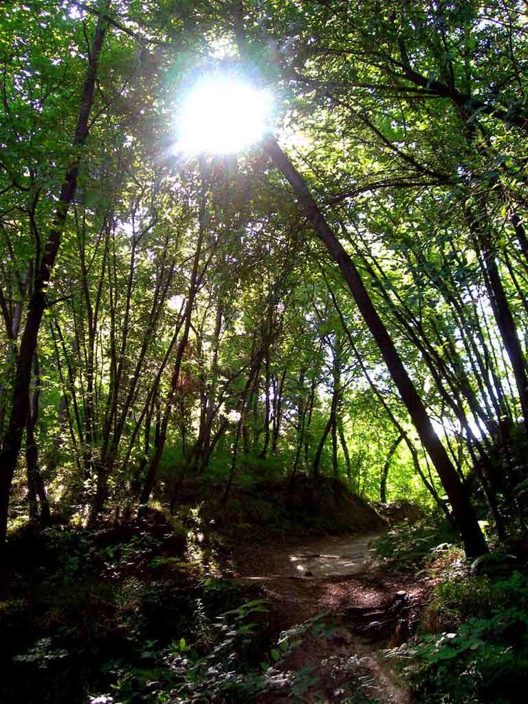 P.co Carn� - sentiero