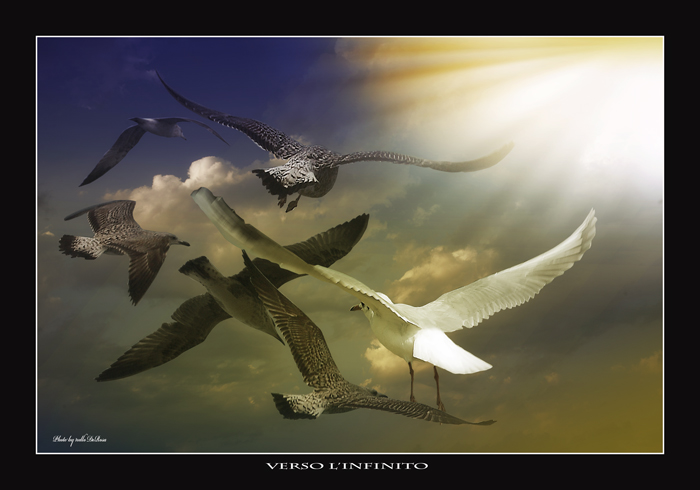 Verso l'Infinito
