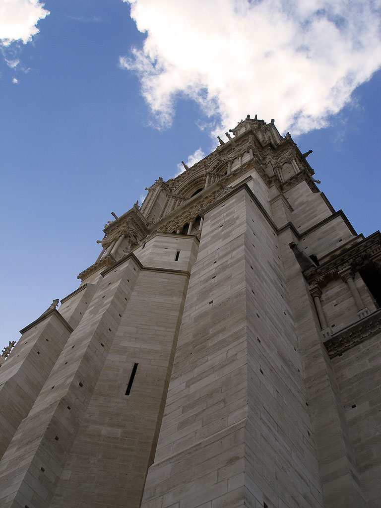 Maestosit� del Notre Dame de Paris...