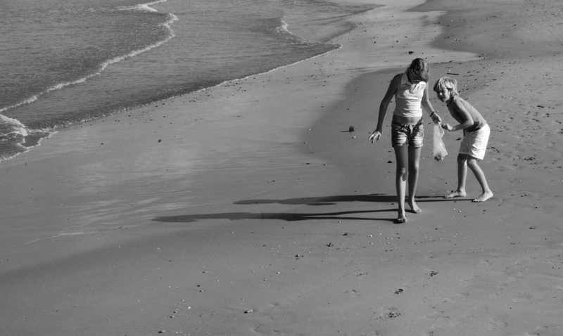 in cerca di conchiglie?