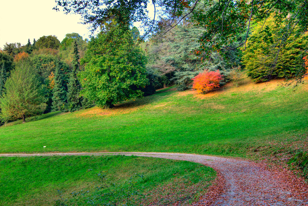 Parco della Burcina
