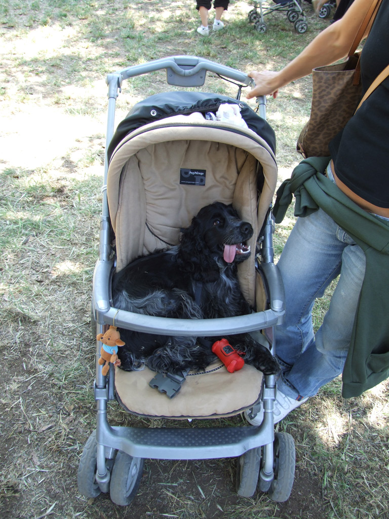 Un p� di riposo...!