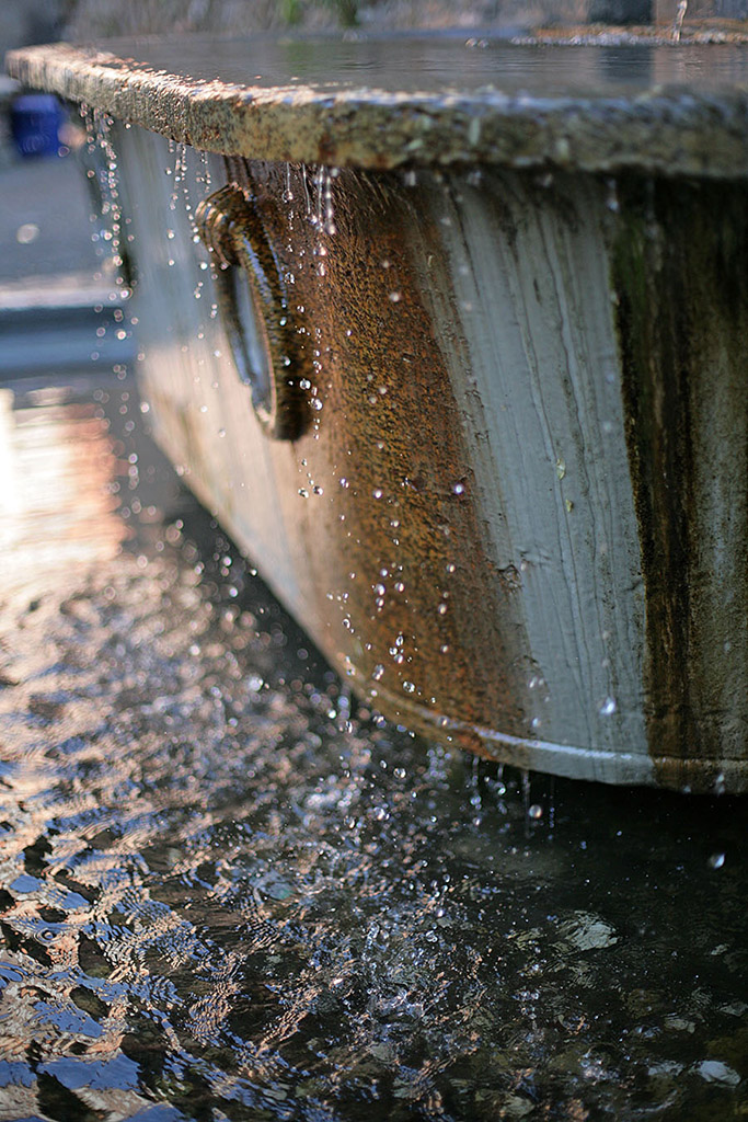 Particolare di fontana