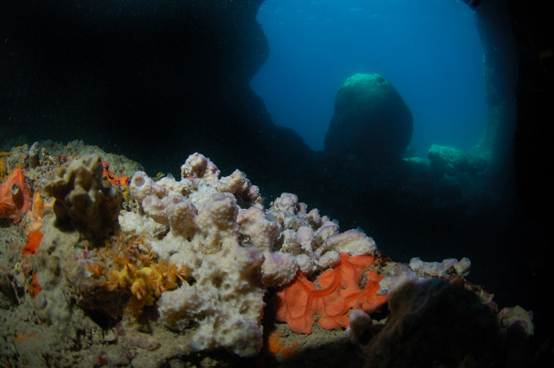 Grotta della Madonnina