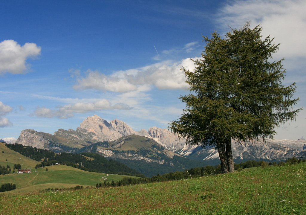 panorama alpe di siusi