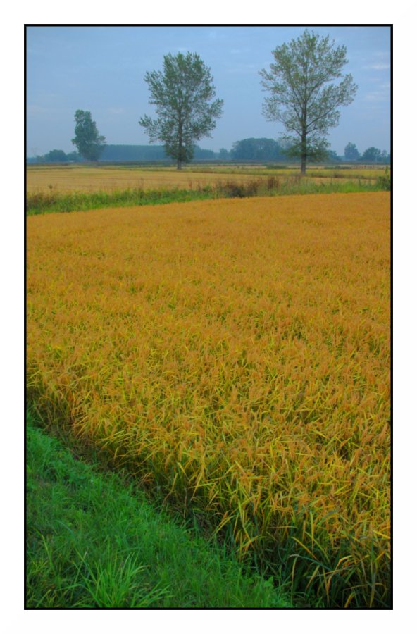 I colori del primo autunno #5