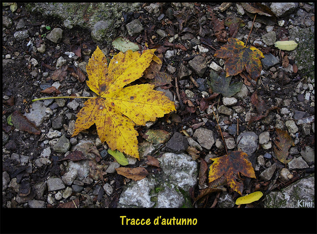Tracce d'autunno