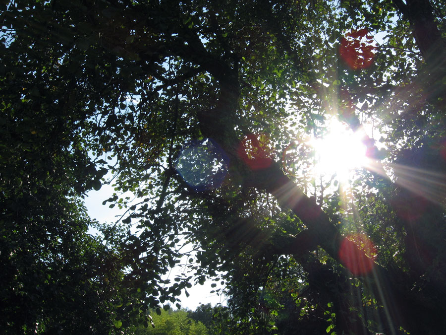 ...un solo sole o pi� soli colorati?...