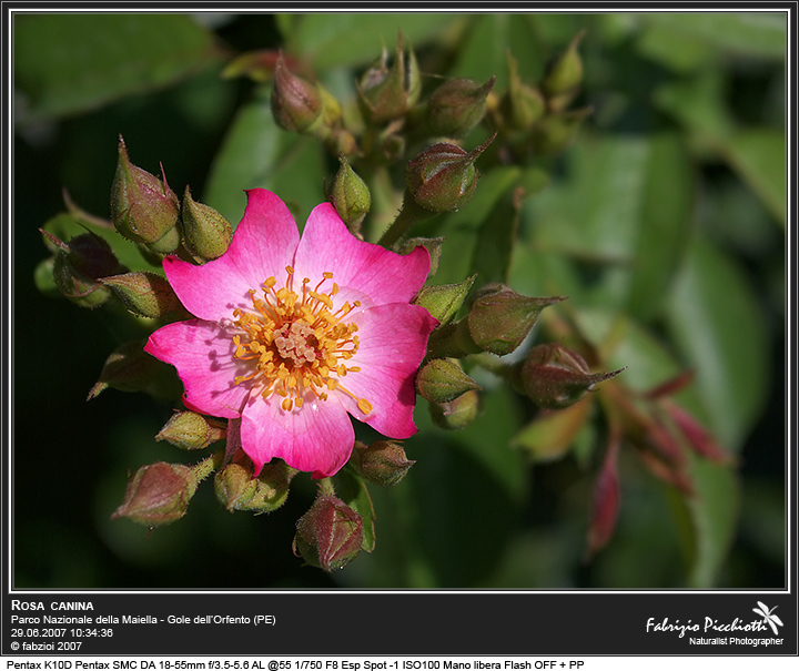 Si cambia.... vitamina C naturale!