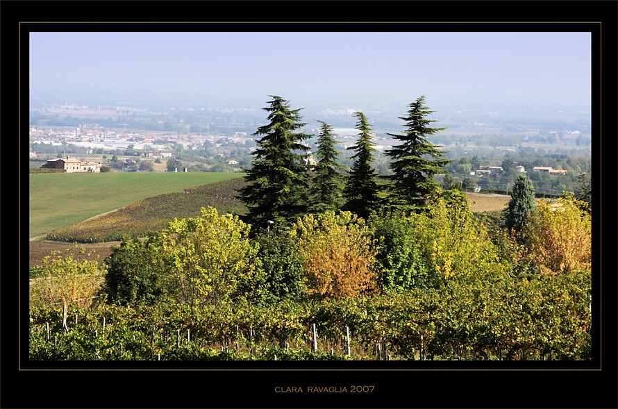 Tavolozza autunnale.......... ( NonSoloFoto Valtidone)