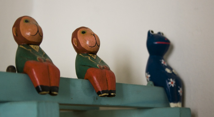 2 scimmie e una rana