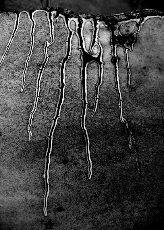 ...lampi nel buio...