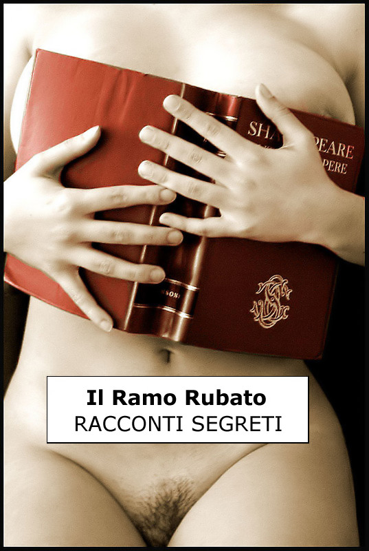 Copertina per "RACCONTI SEGRETI"