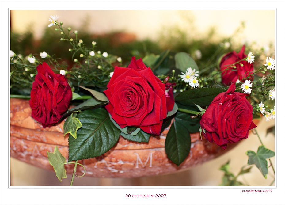 Rose nuziali..........