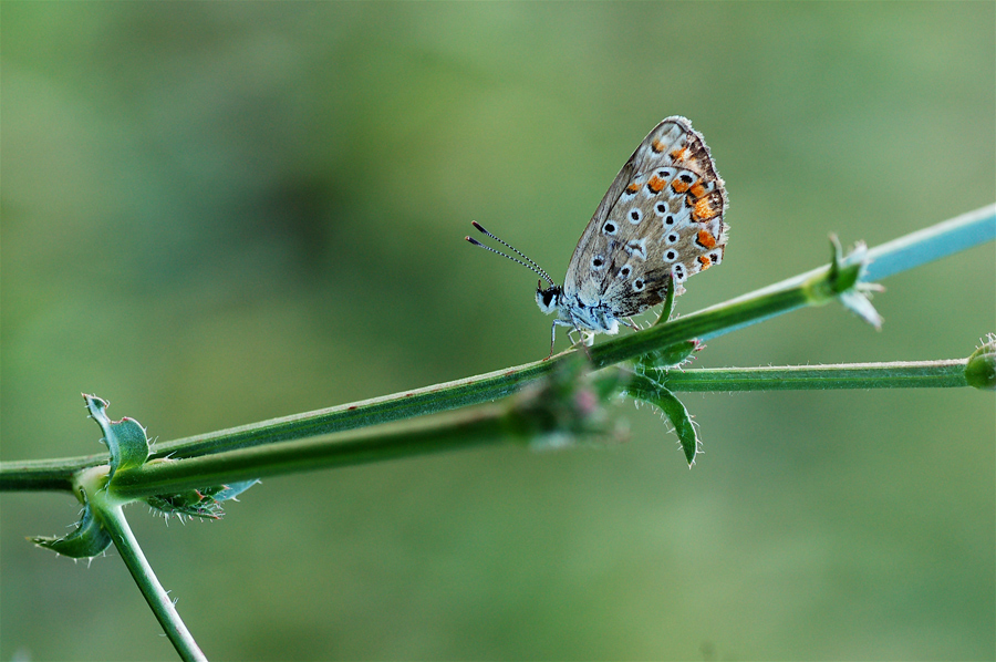 Alla fine della strada