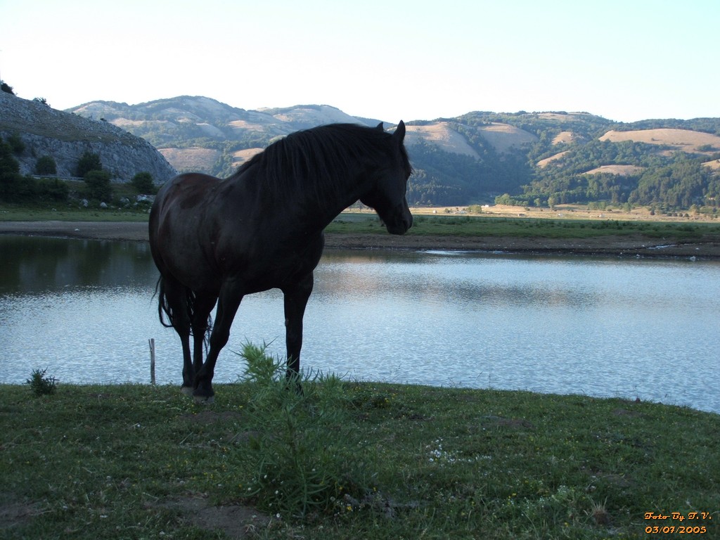 scrutando l'orizzonte
